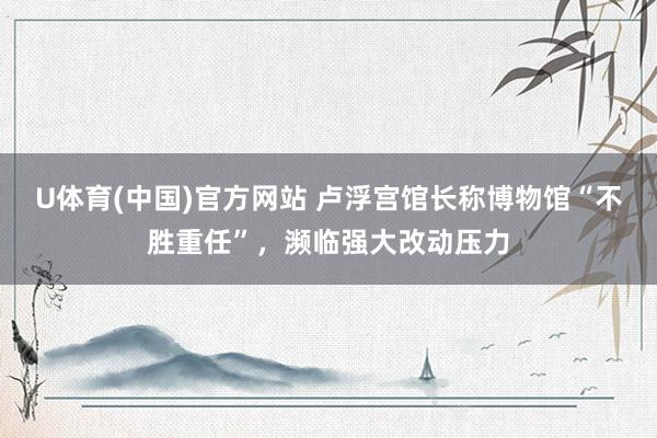 U体育(中国)官方网站 卢浮宫馆长称博物馆“不胜重任”,濒临强大改动压力