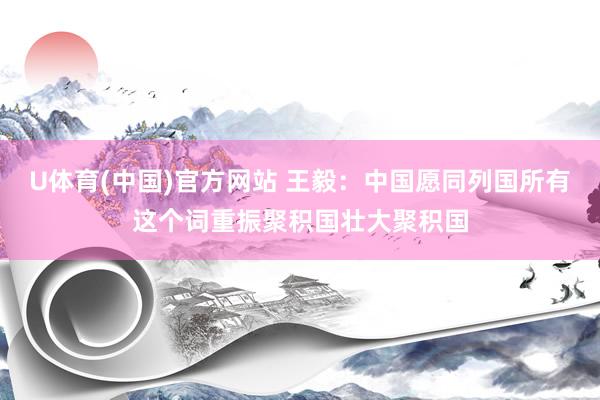 U体育(中国)官方网站 王毅:中国愿同列国所有这个词重振聚积国壮大聚积国